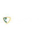 TechTown